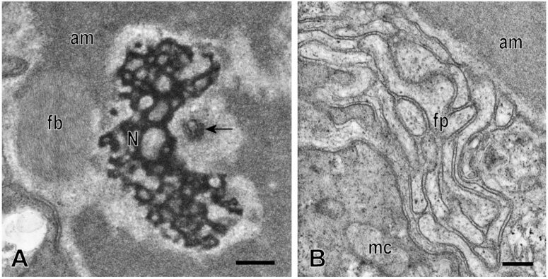 Fig. 3.